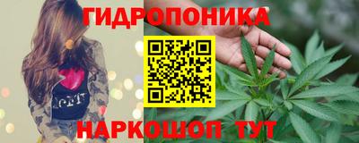 скорость Берёзовский