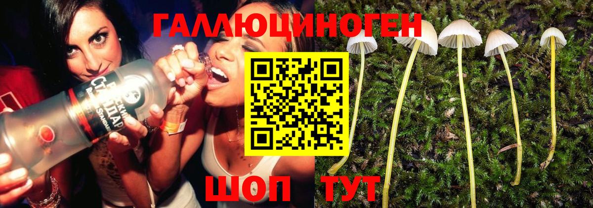 Галлюциногенные грибы мухоморы Кировск