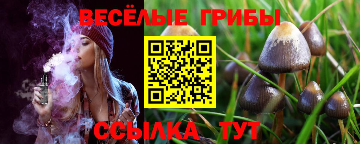 сколько стоит  Псилоцибиновые грибы мицелий  Кировск  Вход с VPN  Псилоцибиновые грибы Psilocybe 